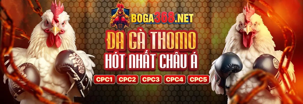 Hình ảnh chính về Cờ Bạc Có Trách Nhiệm tại Win999