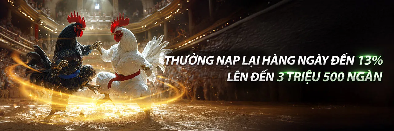 Cá cược thể thao sôi động tại Win999